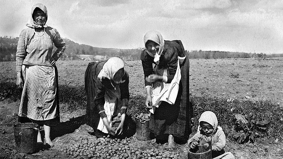 «При бедствиях урожая, во всех губерниях более или менее чувствованных, картофель был величайшим пособием в продовольствии» (на фото — раздача помощи голодающим крестьянам, 1891 год)