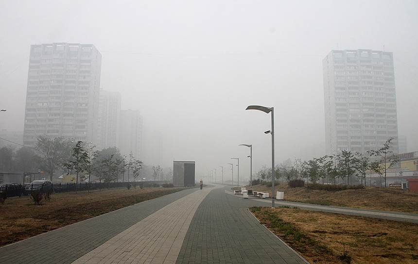 Борьба за свежий воздух может в итоге привести к полному исчезновению автомобилей в городах