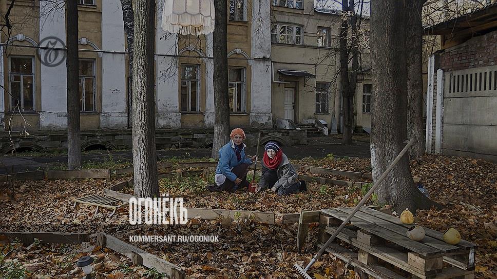 дети сажают деревья на белом фоне. сажаем дерево сбербанк. ну посади. смешные картинки про дачу и огород. шутки про посадку огорода.