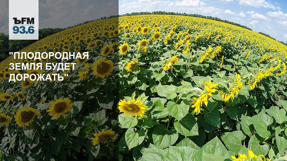 "Плодородная земля будет дорожать" – Коммерсантъ FM – Коммерсантъ