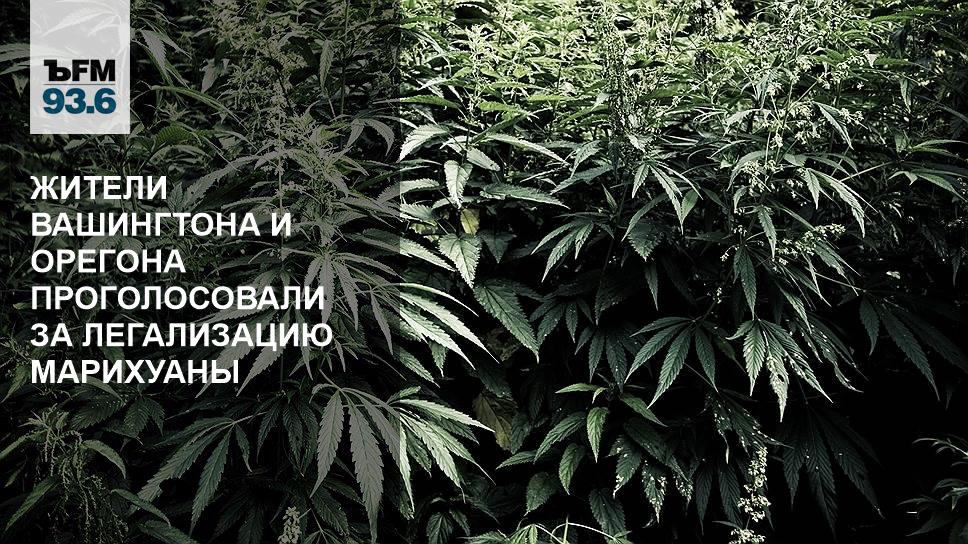 казахстан легализовали марихуана