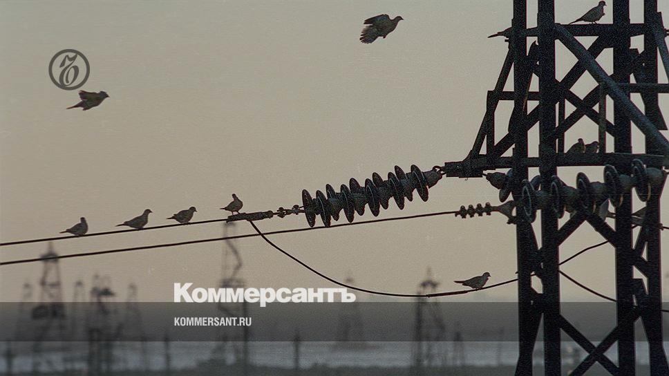 Делаем проволочные лапки для валяной птички