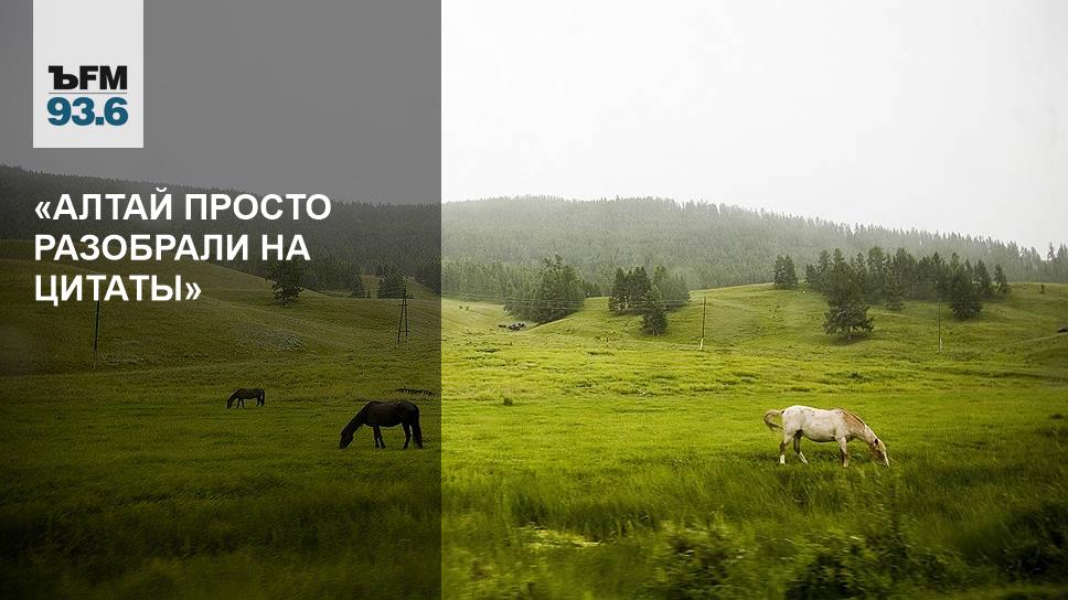 Цитаты про мозги. И разобраться в нем просто. И разобраться в нем просто. И разобраться в нем просто. Афоризмы про мозг.