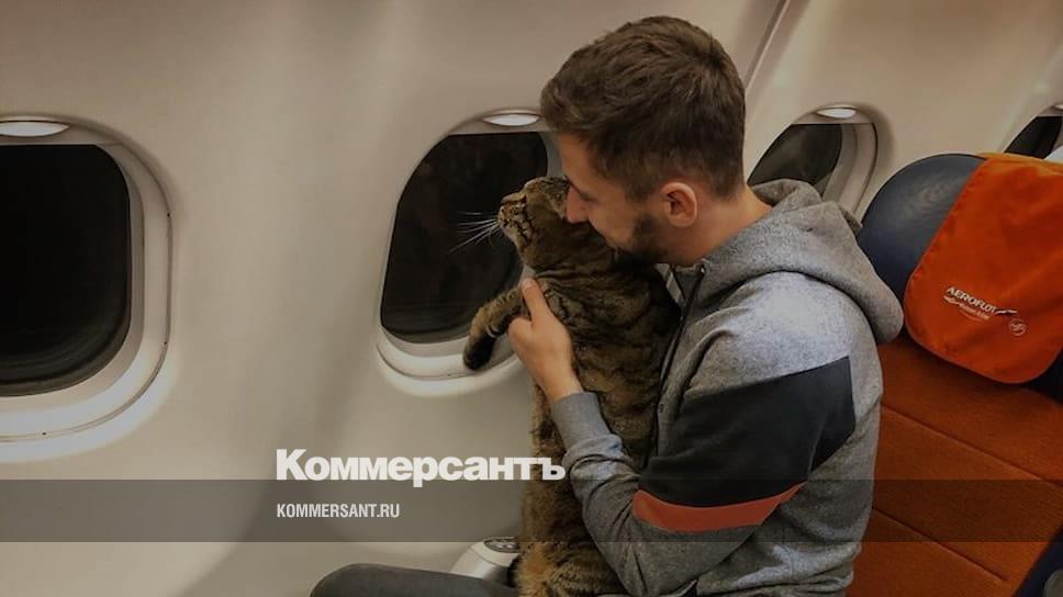 Кот Виктор Аэрофлот