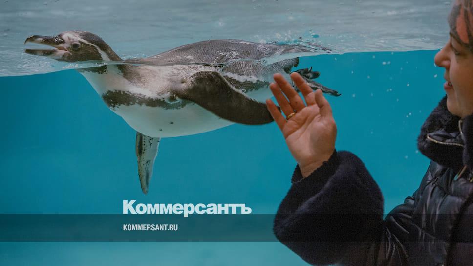 Новосибирские власти выделят на помощь зоопарку 27,5 млн рублей ...