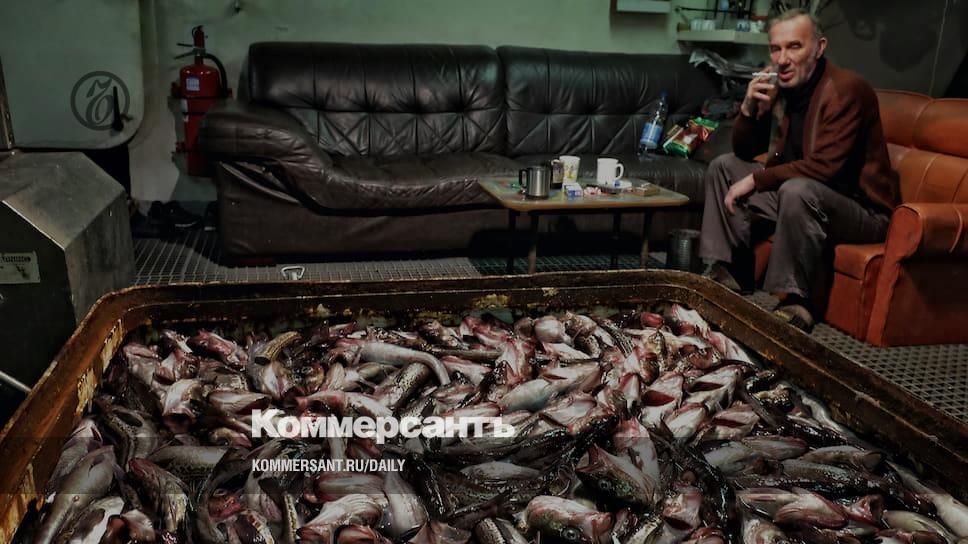 Квоты на промысел в зоне Японии хотят перераспределить