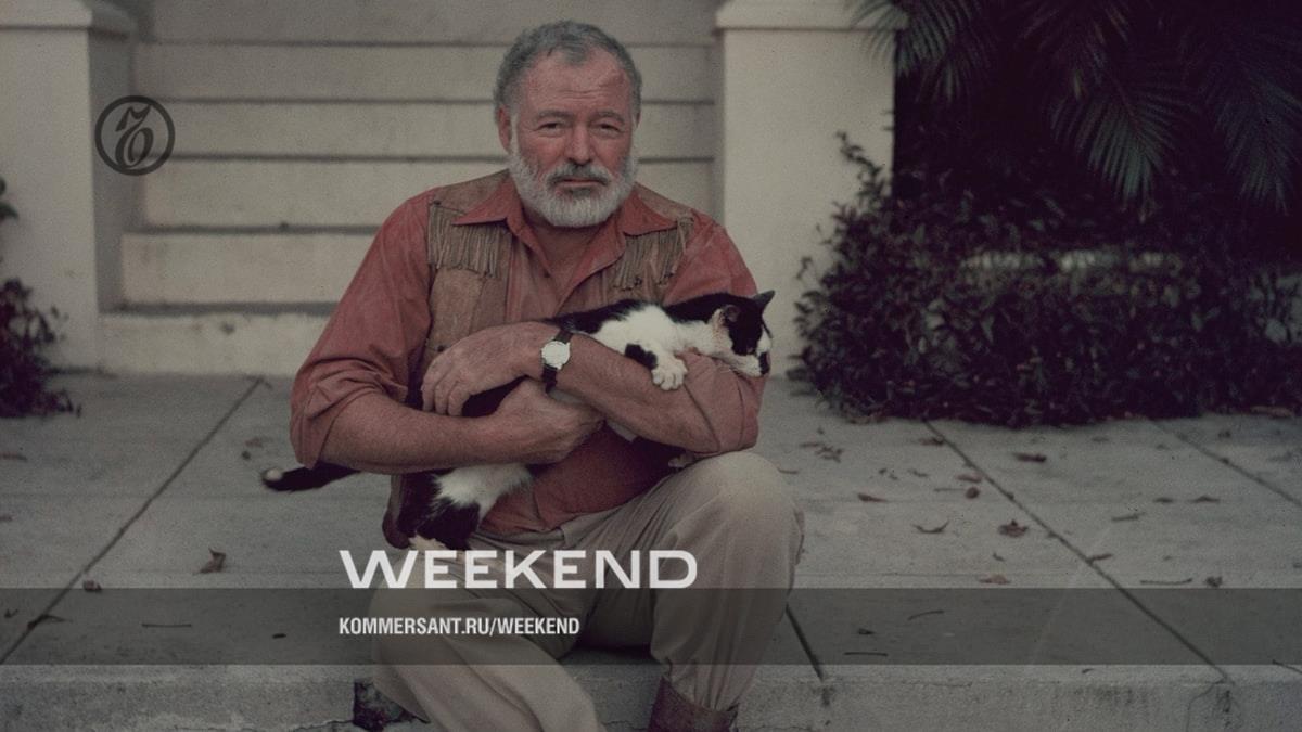 Портрет писателя с котиком – Weekend