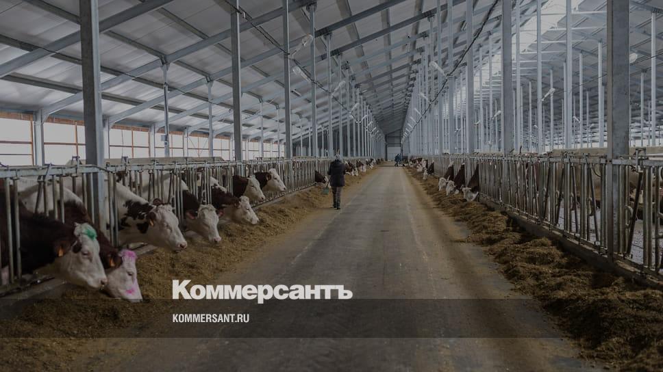 Воронеж ока молоко