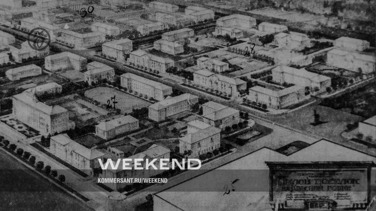 Вальтер Гропиус и Bauhaus: трансформация жизни в фабрику – Weekend