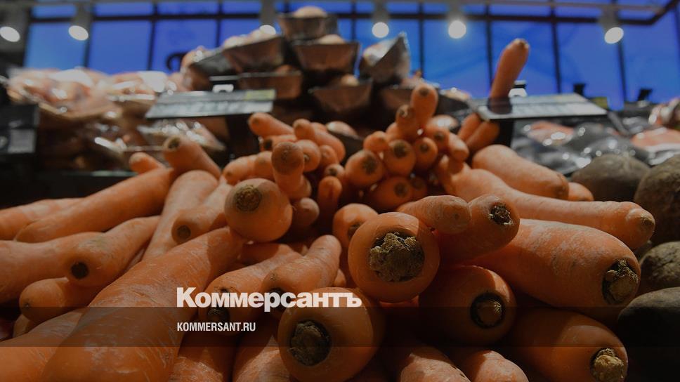 Морковь Про Новые Серии 2022 Года
