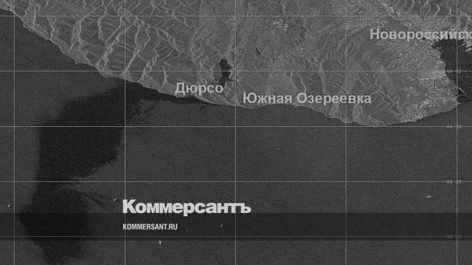 Всемирный фонд дикой природы оценил объем разлива нефти под Новороссийском в 100 тонн - Vimarsana News