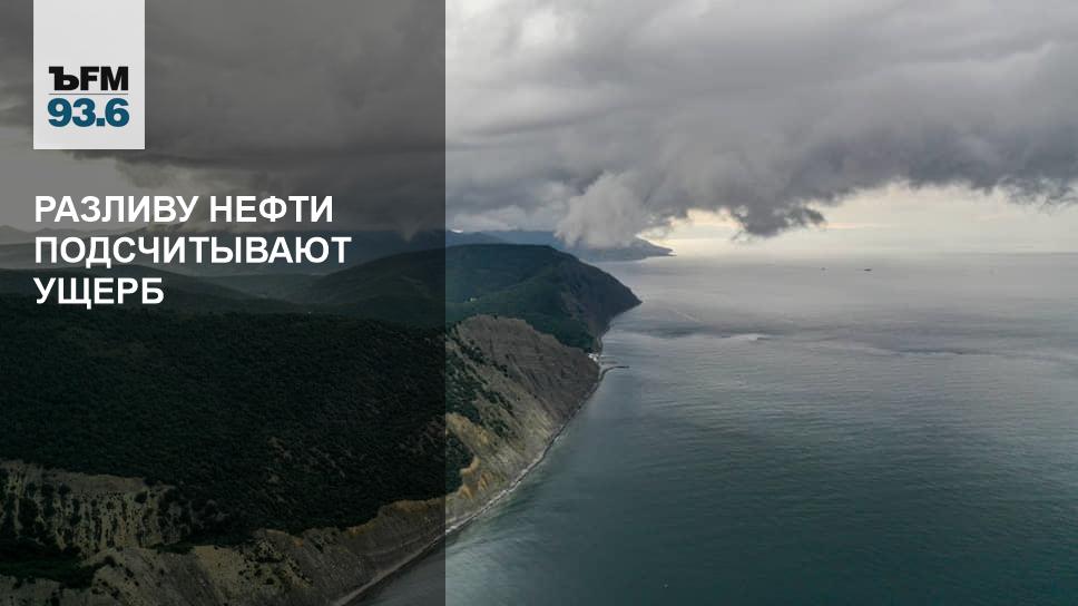 Разливу нефти подсчитывают ущерб - Vimarsana News