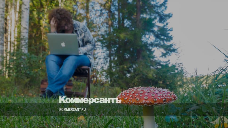 «Я работаю припадками» - Vimarsana News