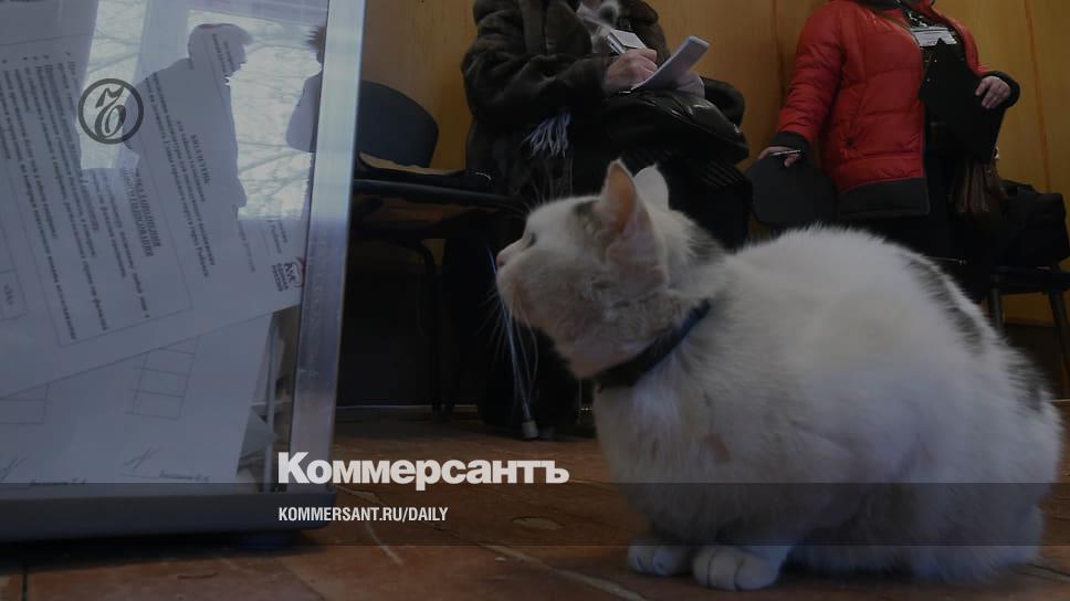 Мезальянс наблюдателей - Vimarsana News