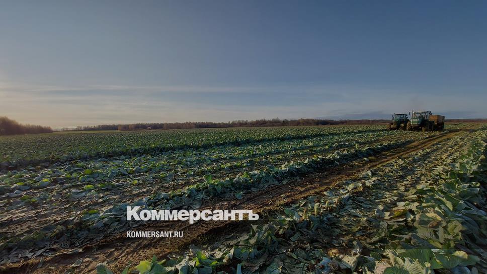 Рублев Магазин Ярославль