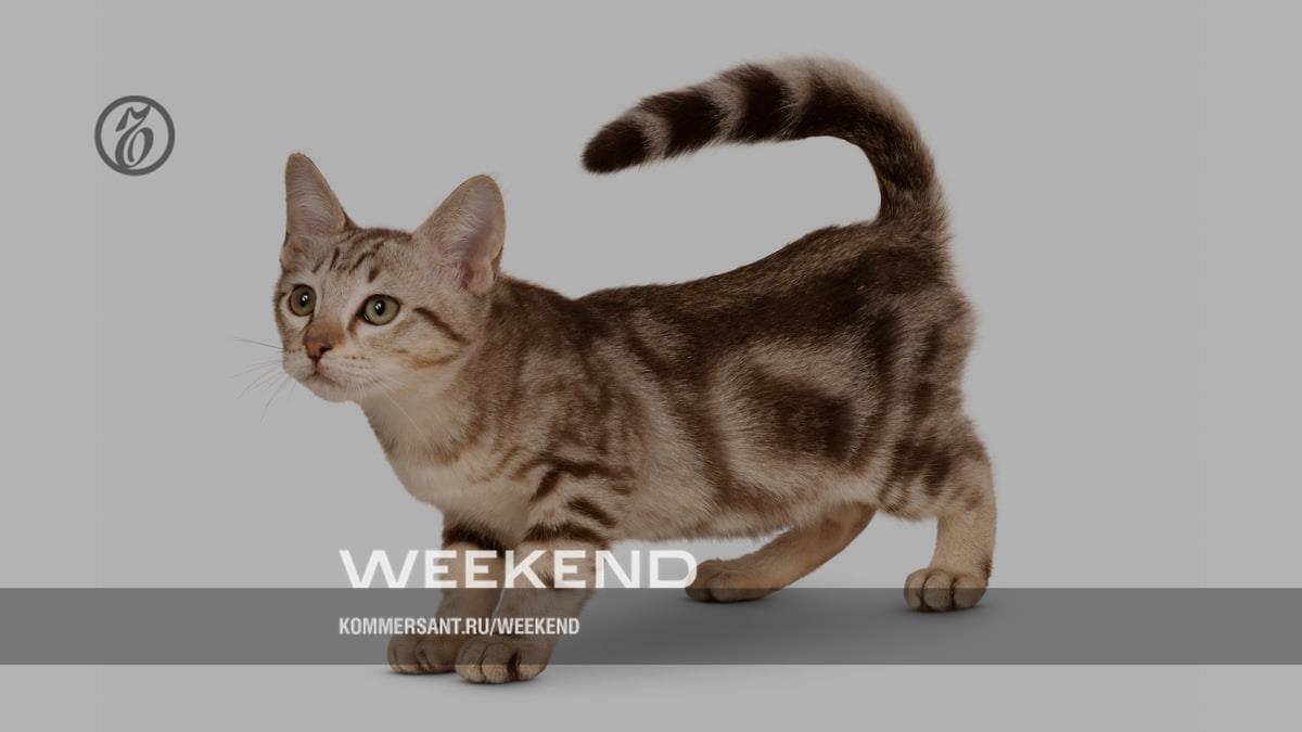 Австралийский мист – Weekend