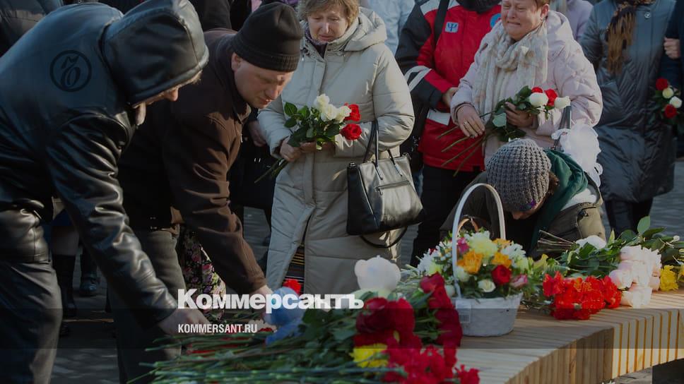 Погибшие в зимней вишне фото