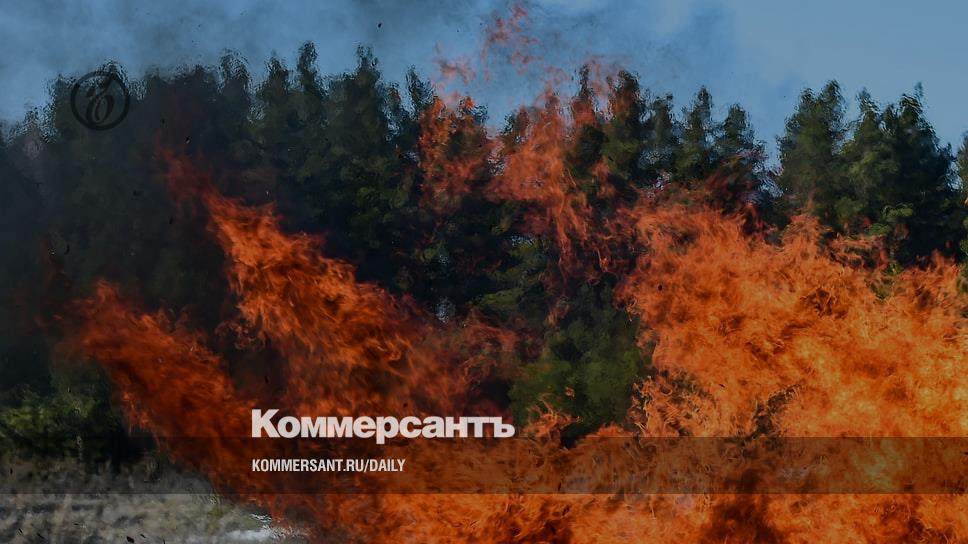 пламя огня конфеты. пламя раздуваемое ветром. раздуваемое ветром пламя. раздуваемое ветром пламя. пожар в лесу.