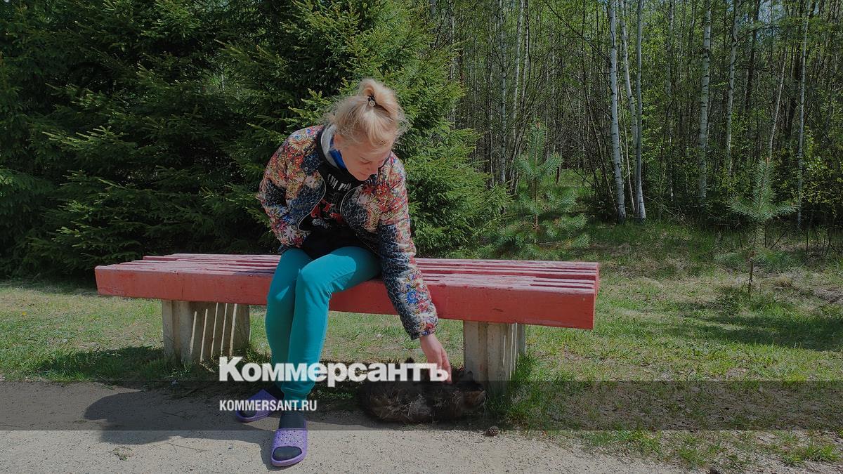 Убежище в «Сосновом бору» – Коммерсантъ Ярославль