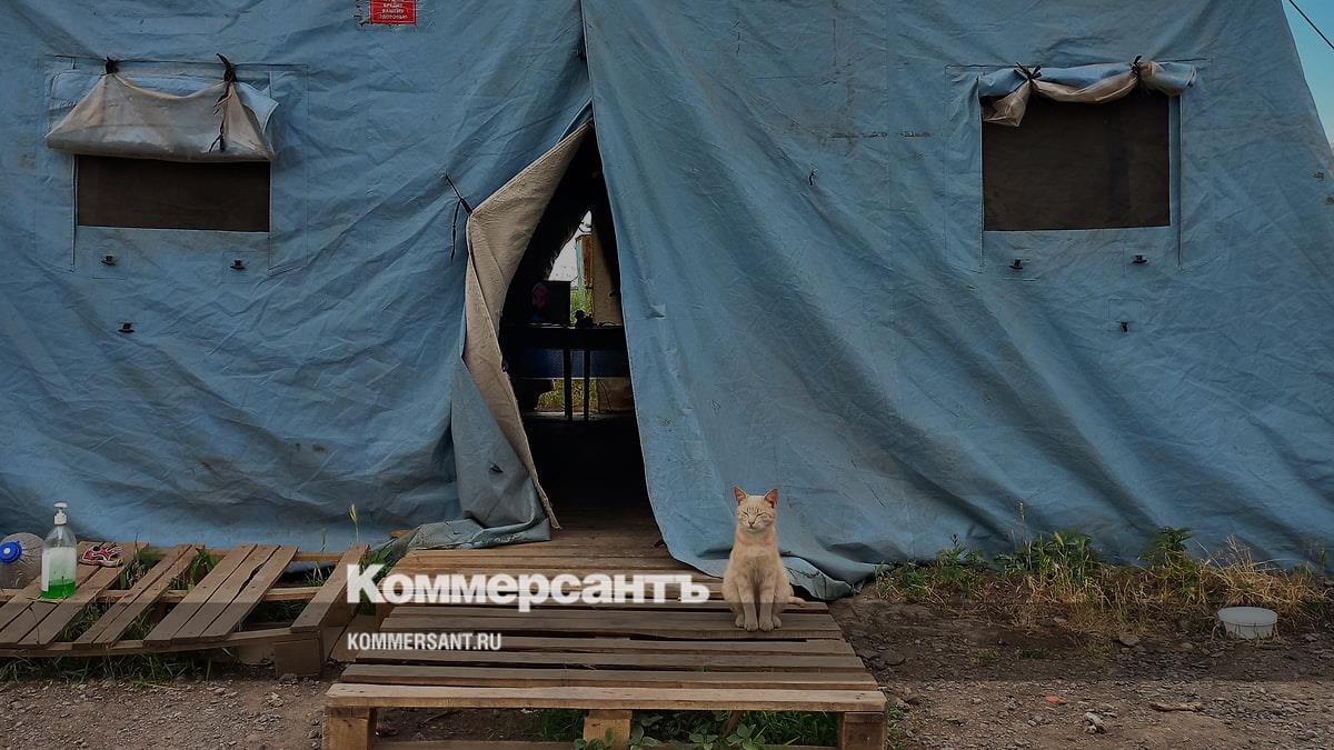 В Донецке осталась таксочка наша» - Коммерсантъ