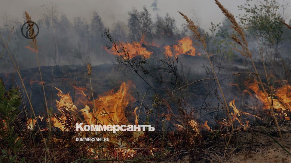 Ryazan forests are on fire in emergency mode - Picture of the day - Kommersant