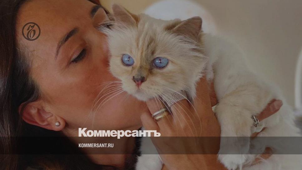 Gucci for a cat - Style - Kommersant