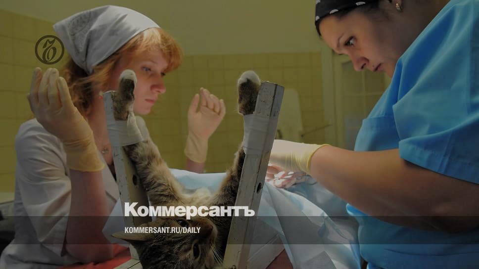 The highest measure of responsible treatment - Newspaper Kommersant No. 219 (7420) dated 11/25/2022