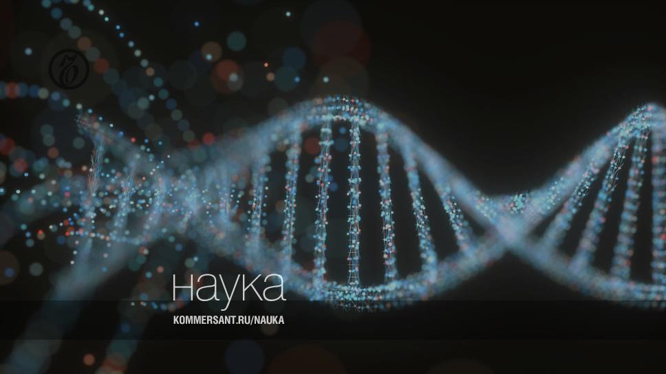 Как замедлить старение – Наука