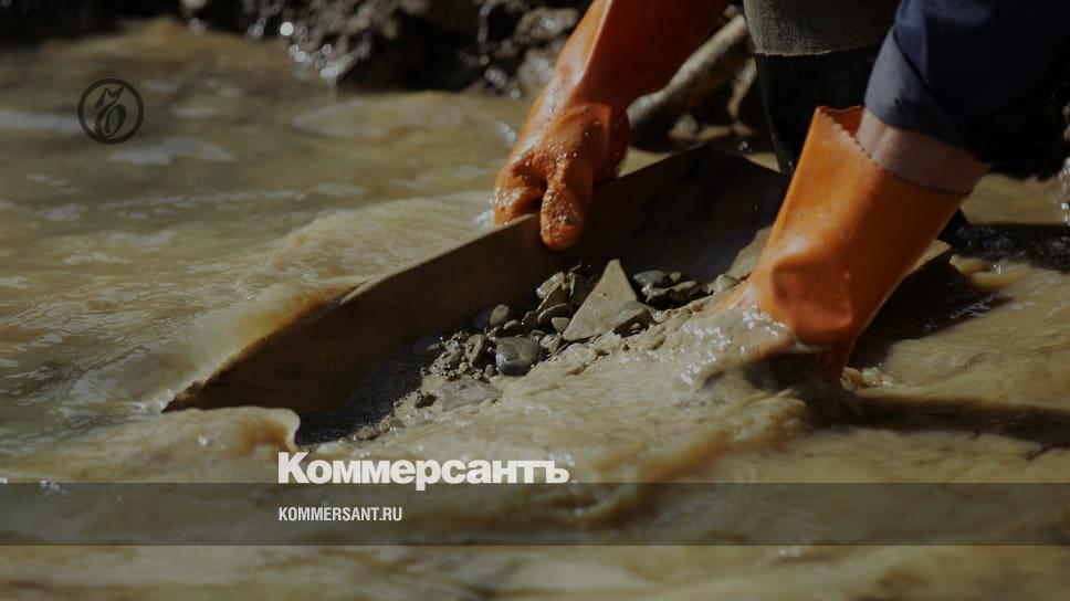 The government supported the legalization of gold mining by individuals