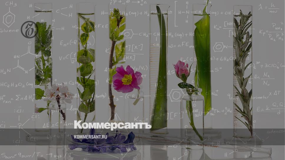 Aromatic evolution - Style - Kommersant