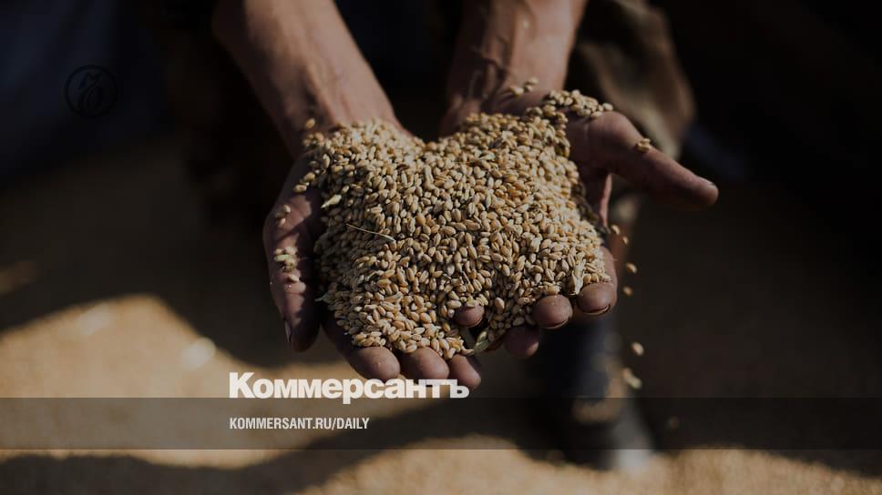 Grain is rushed to the exit - Newspaper Kommersant No. 69 (7514) dated 04/20/2023