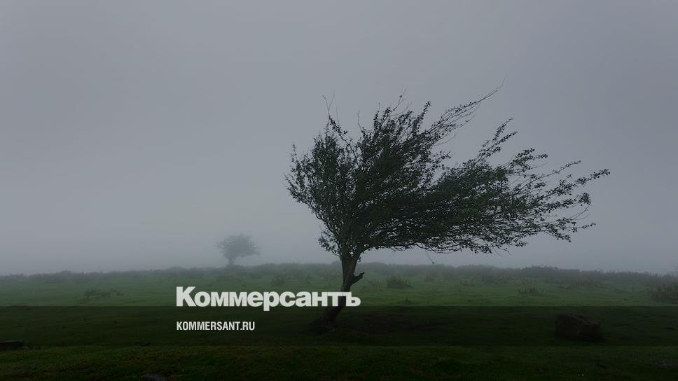 ветер 30 м с. презентация на тему суховеи. буря – это сильный ветер, скорость которого:. ветер 20 м/с. презентация суховей.