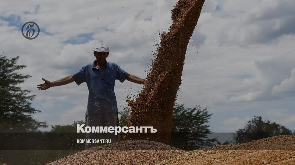 The grain of independence - Kommersant