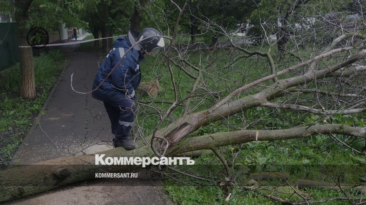 Режим повышенной готовности в Ростове продлен до конца суток 1 июня