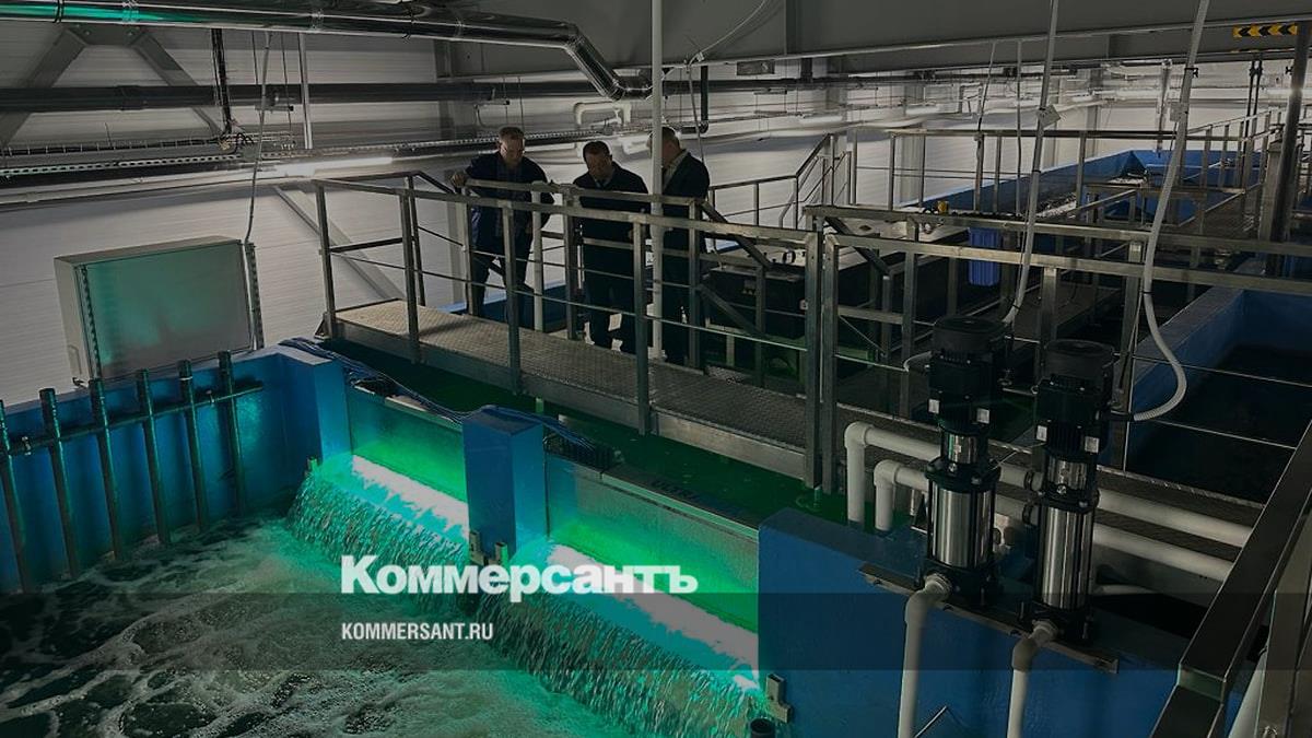 Ярославская птицефабрика запустит цех по производству сома и форели ...