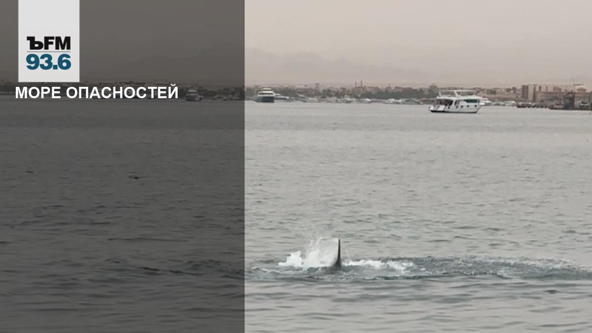 Вода в египте