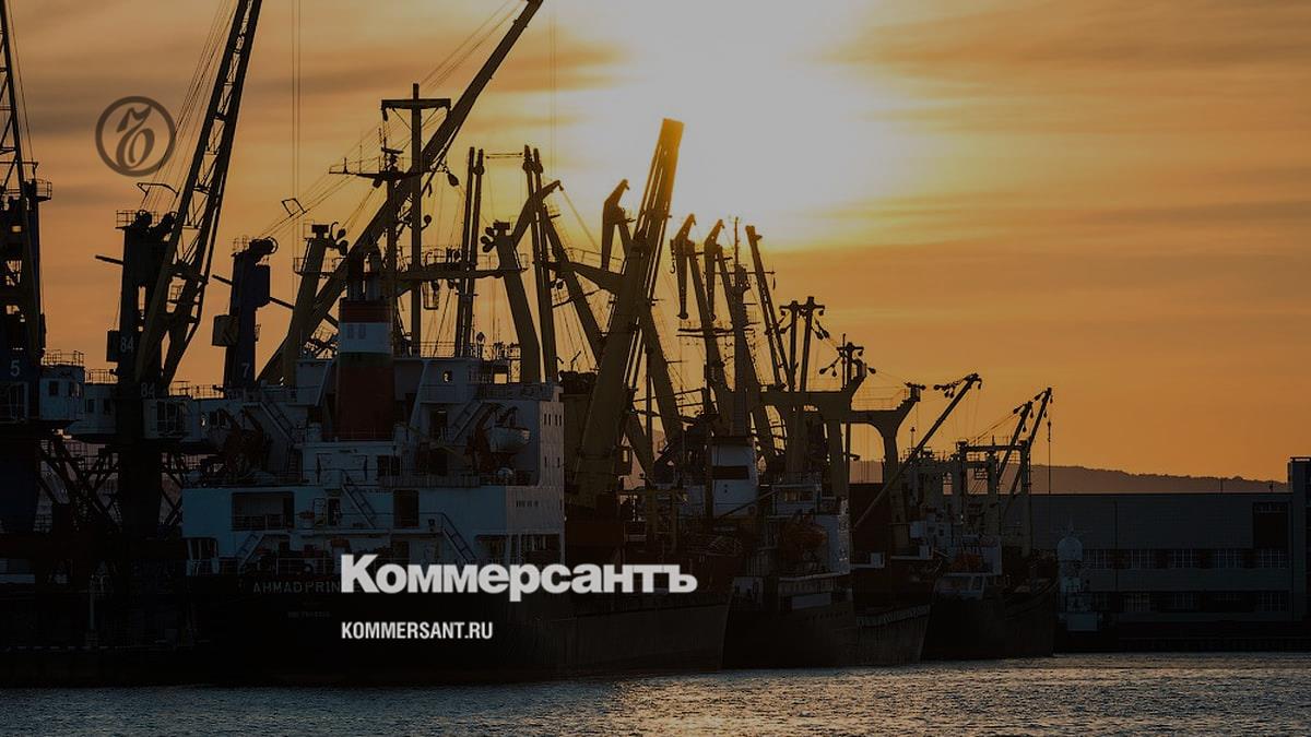 Крупнейший российский морской порт. Новороссийский грузовой порт. Грузовой морской порт Новороссийск. Флот НМТП Новороссийск. Морской грузовой порт Русь.