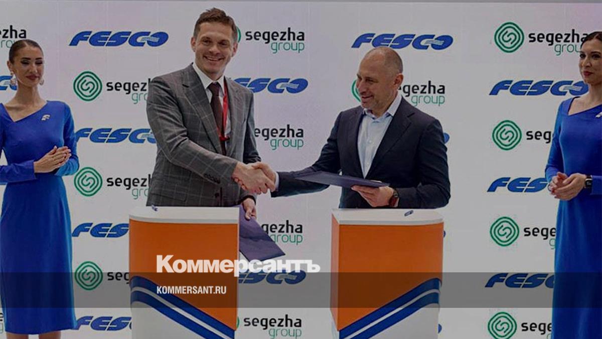 Презентация сегежа групп