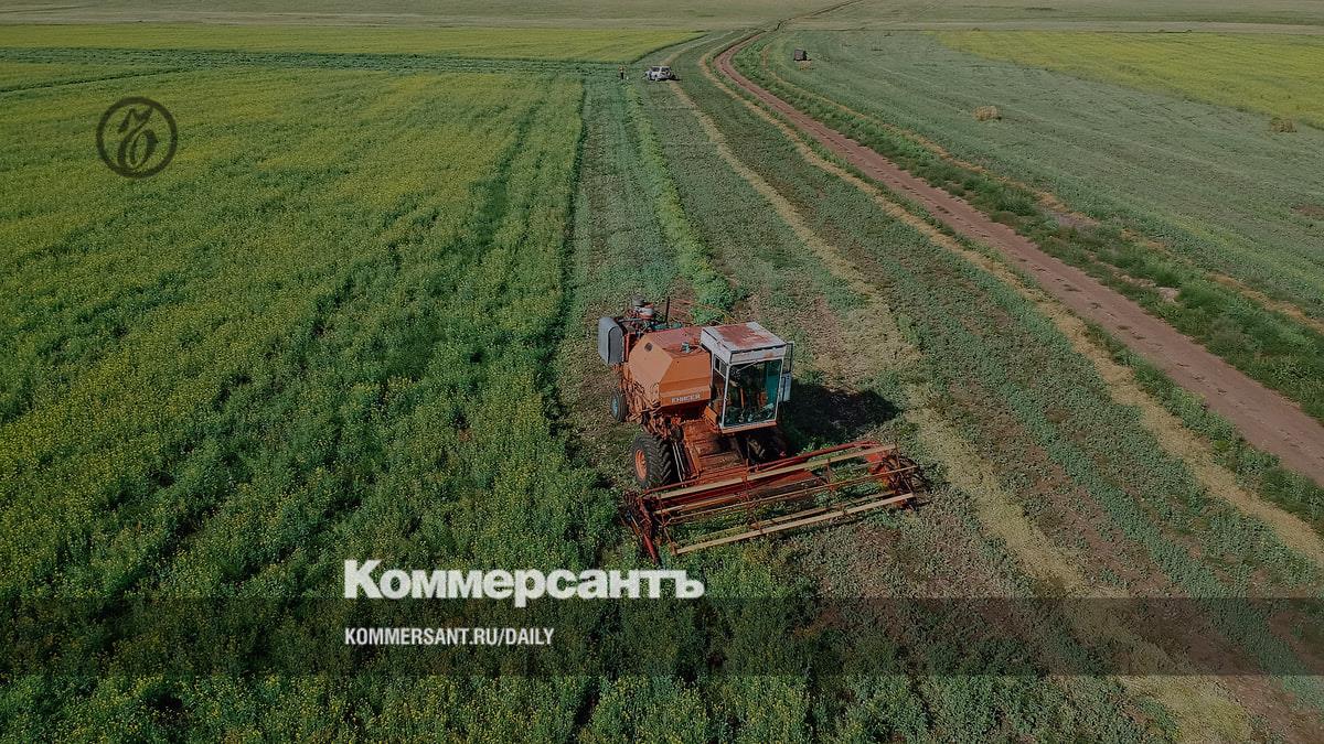 Structures of Gleb Fetisov may acquire agricultural holding "Komsomolets"