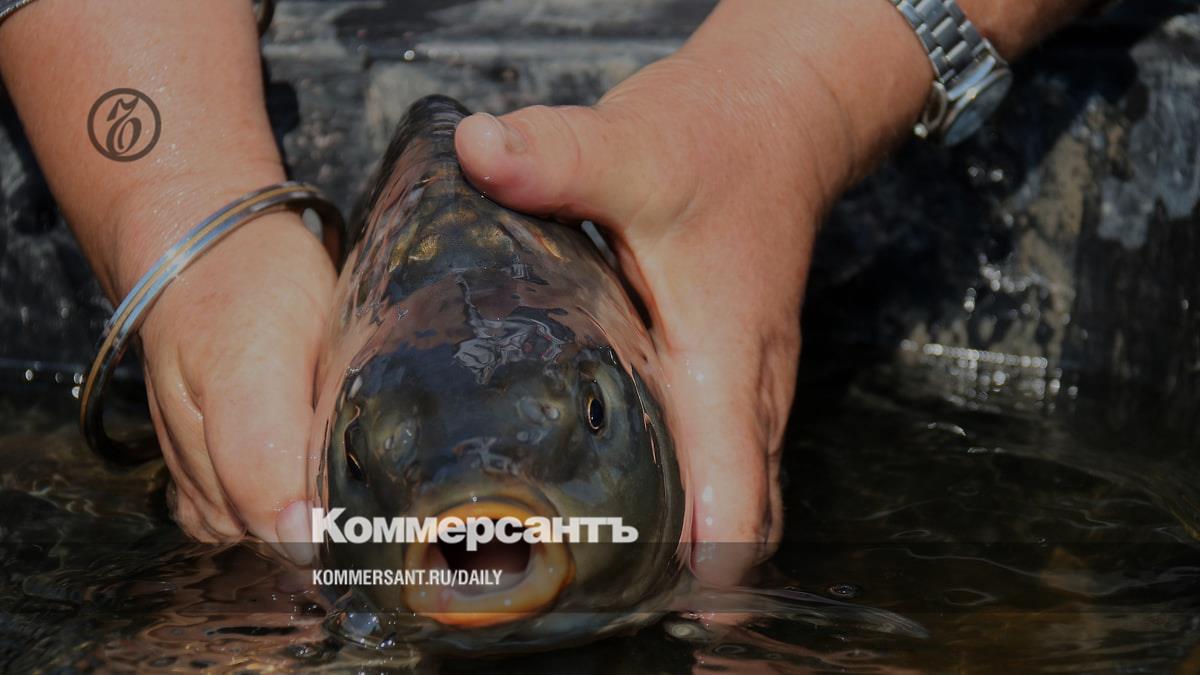 Бывшего акционера берут на крючок – Коммерсантъ Уфа