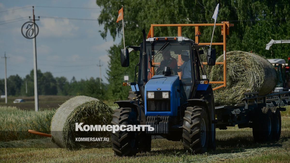 Подросли в полях – Коммерсантъ Воронеж