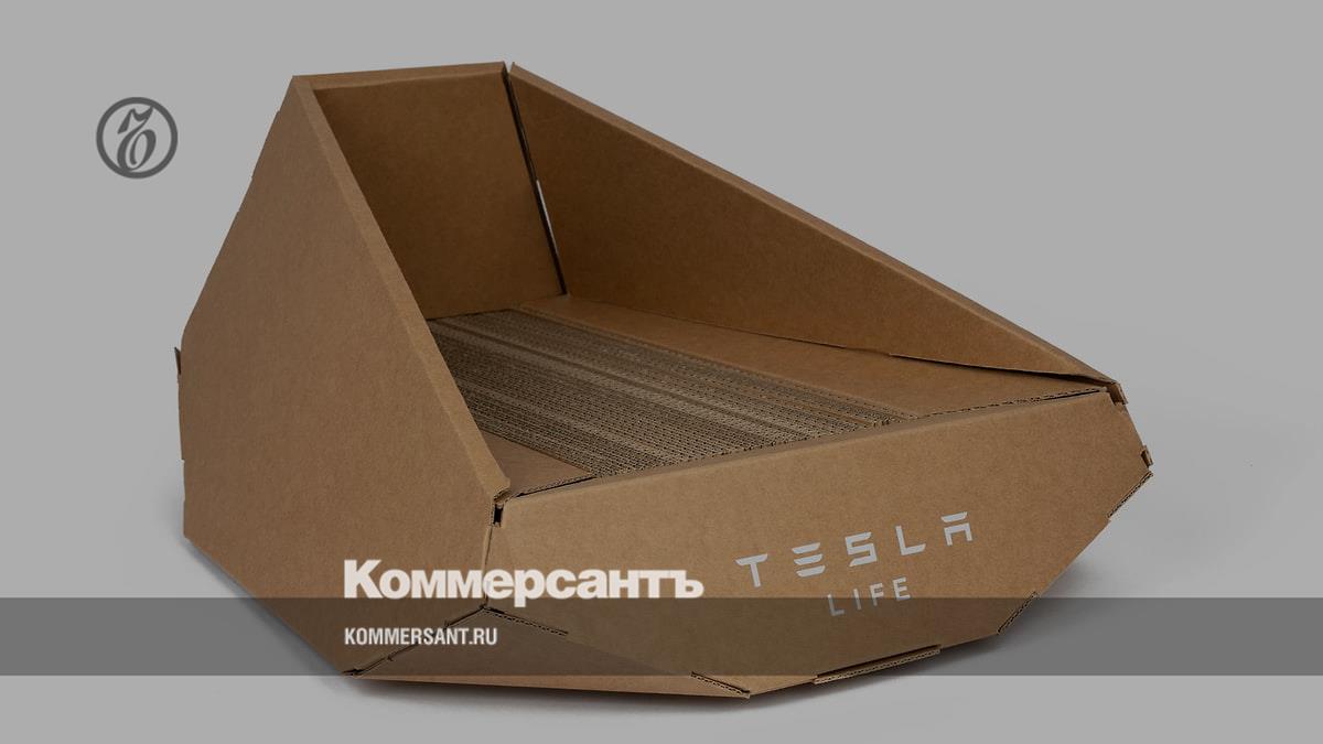 Tesla has released a cat bed in the spirit of Cybertruck - Kommersant