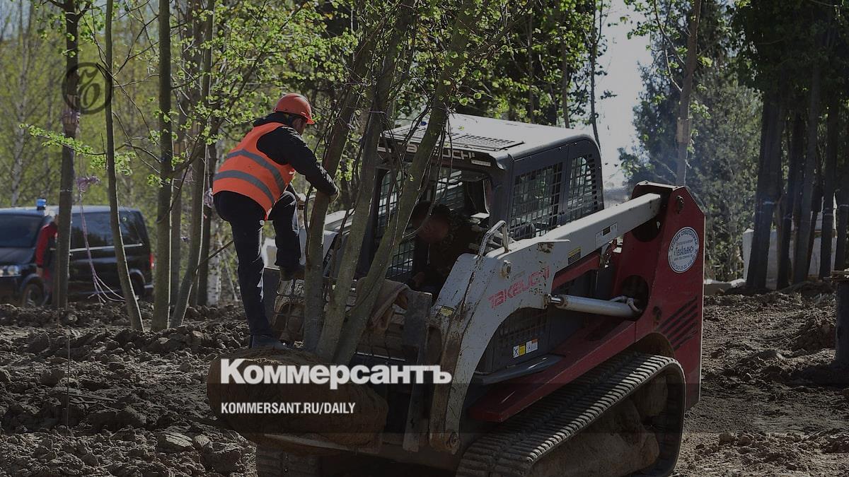 2.5 thousand mature trees are being restored in Moscow