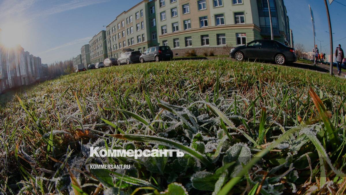 Калина в тюменской области