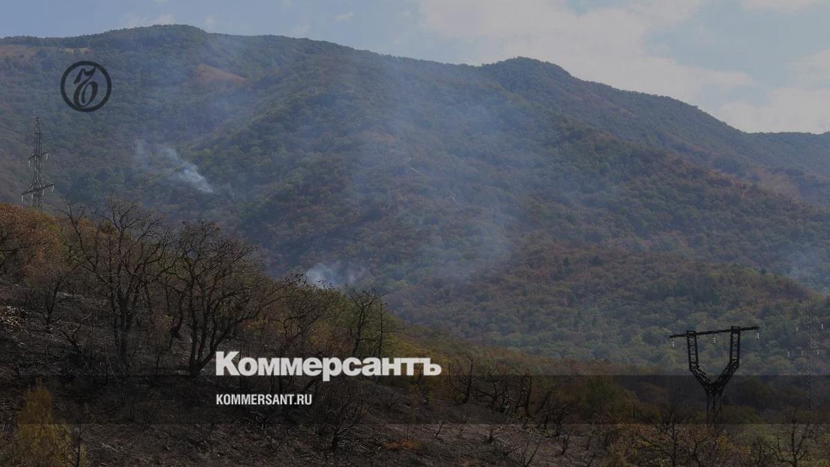 Место пожара на хребте Маркотх в Геленджике обследуют для высадки нового  леса – Коммерсантъ Краснодар