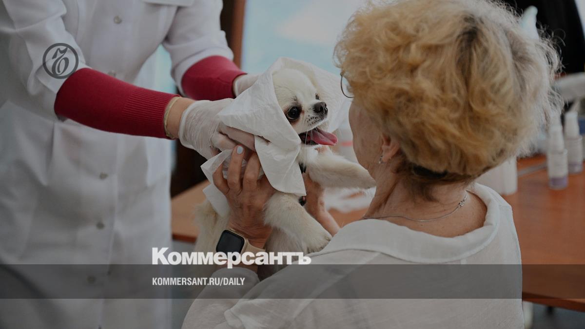 New vaccines may make it harder for cats and dogs to travel abroad