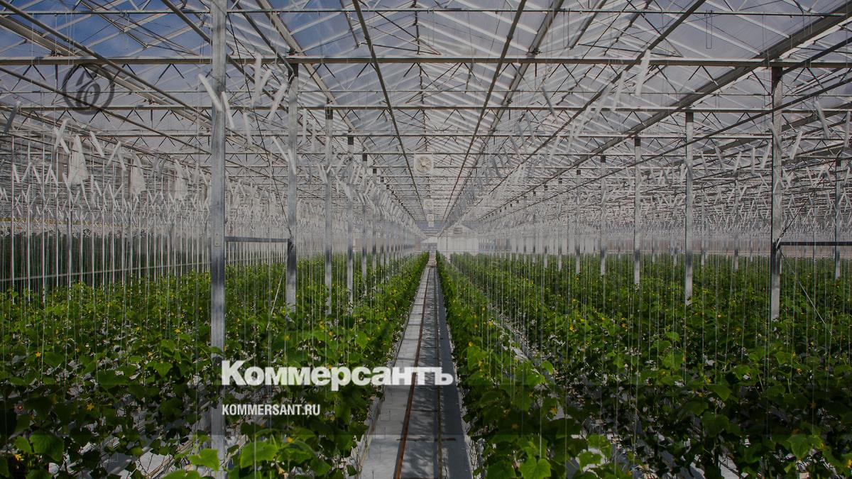 Замкнутая система хороших урожаев – Коммерсантъ Краснодар