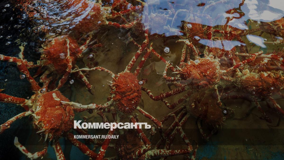 Eight quotas for crab fishing in the Far East were sold at auctions for 66.27 billion rubles.