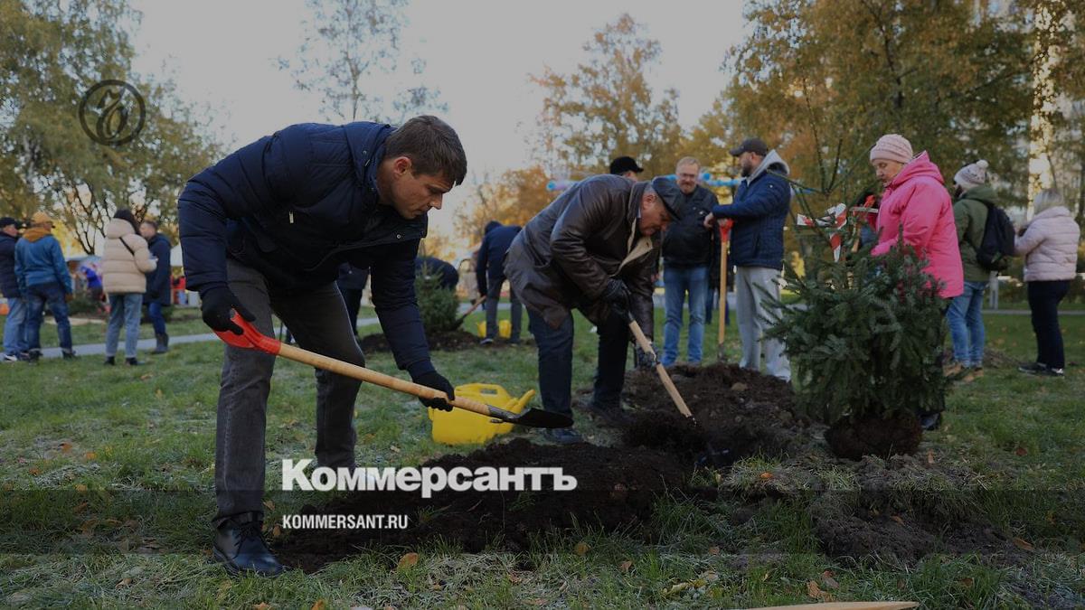 сквер раисы штрейс санкт петербург