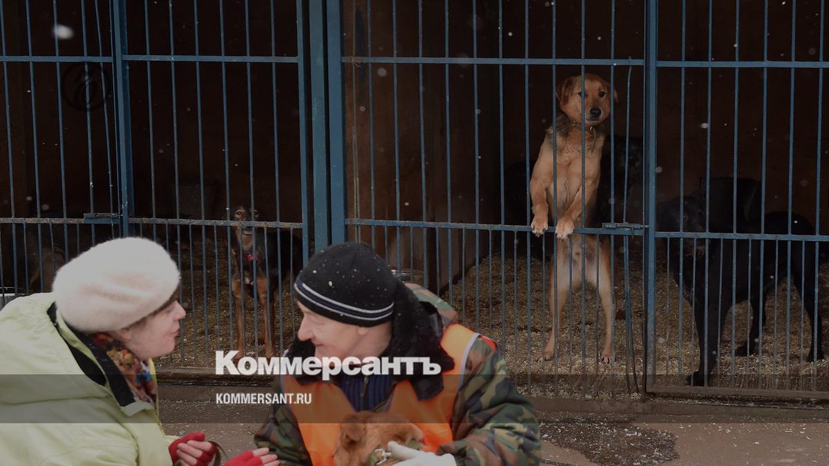 The court overturned the act on the lifelong keeping of dogs in shelters in Buryatia